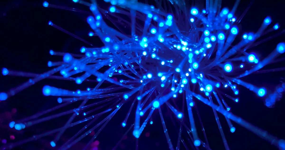 Infrastructure numérique souveraine — câbles, réseau et contrôle d'accès aux modèles d'intelligence artificielle